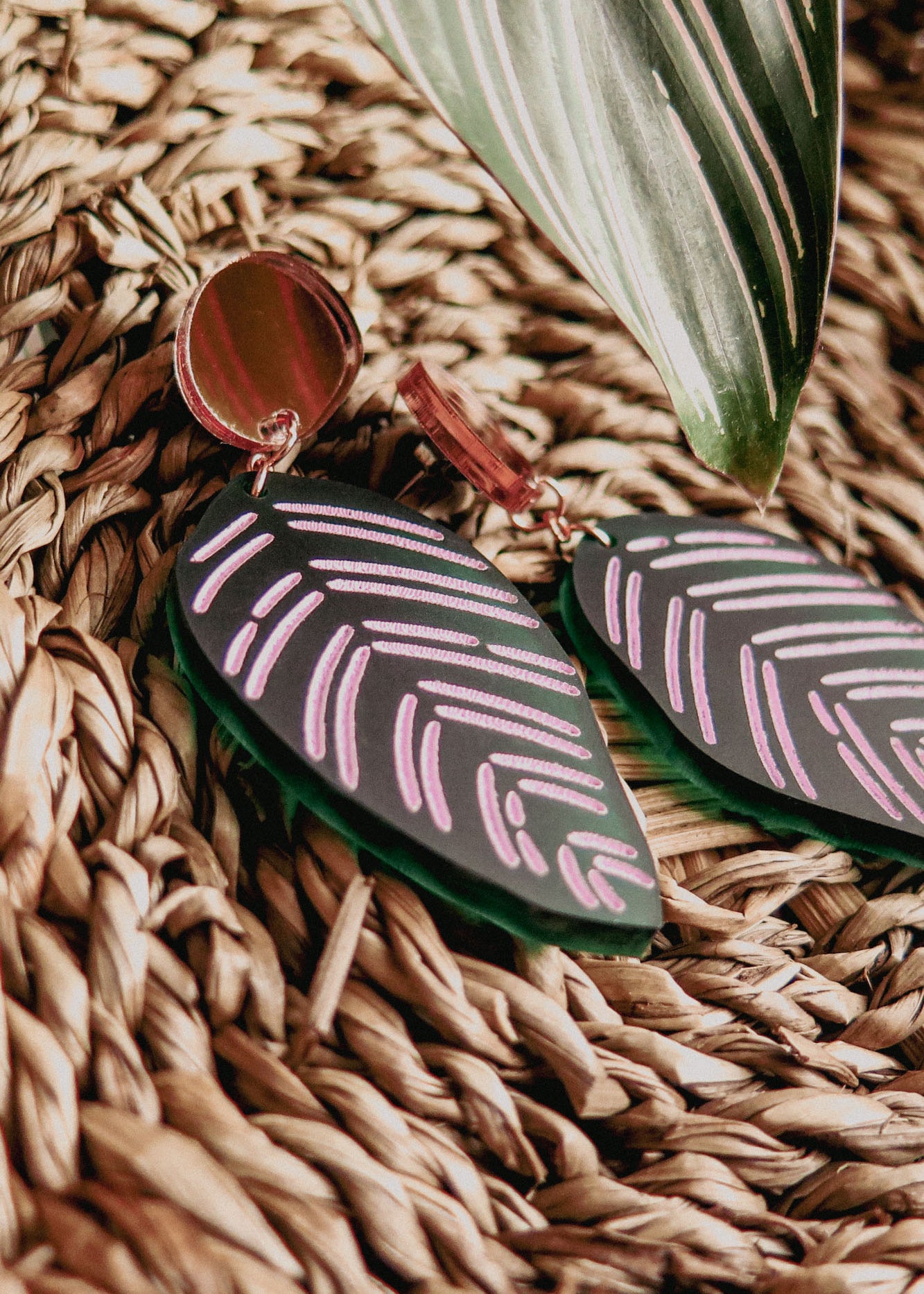 A pair of leaf-shaped, handcrafted earrings with pink and white line designs rest on a woven straw surface beside a green leaf with light stripes, echoing the beauty of Calathea Ornata Earrings and tropical nature jewelry.